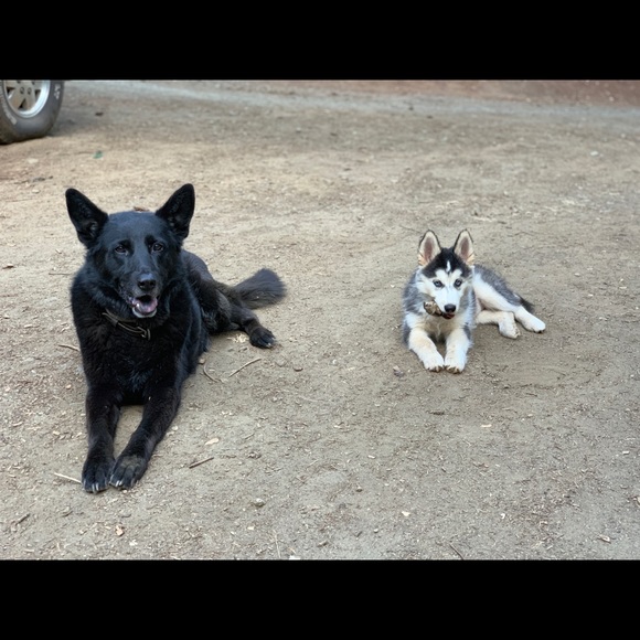 I’m a mommy, an Army vet and a Lupus Warrior. - Picture 3 of 6